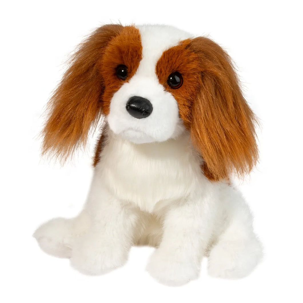 Douglas King Charles Cavalier Spaniel- Kingsley