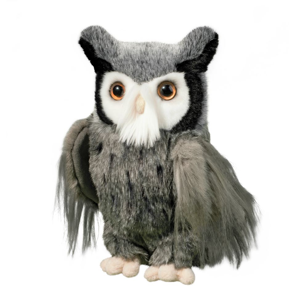 Douglas Samuel Grey Horned Owl